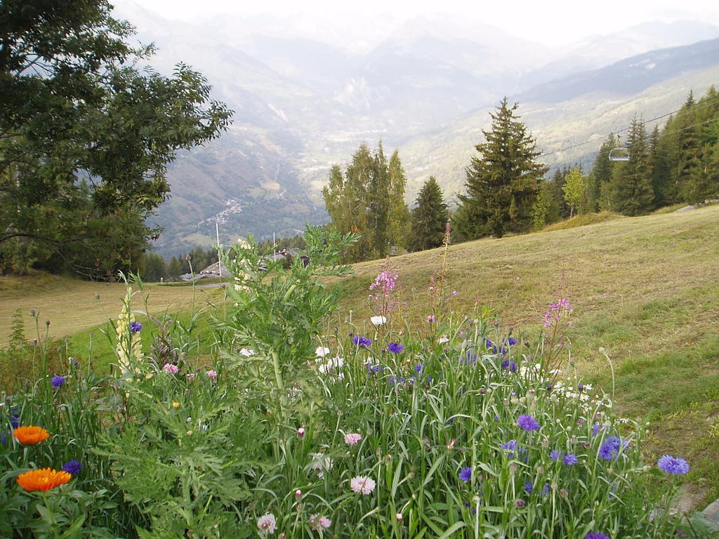 Chalet Les Gentianes La Plagne Rom bilde