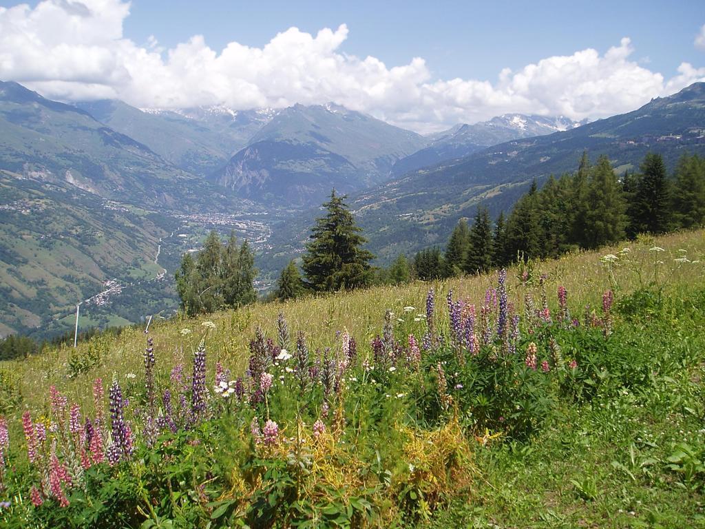 Chalet Les Gentianes La Plagne Eksteriør bilde